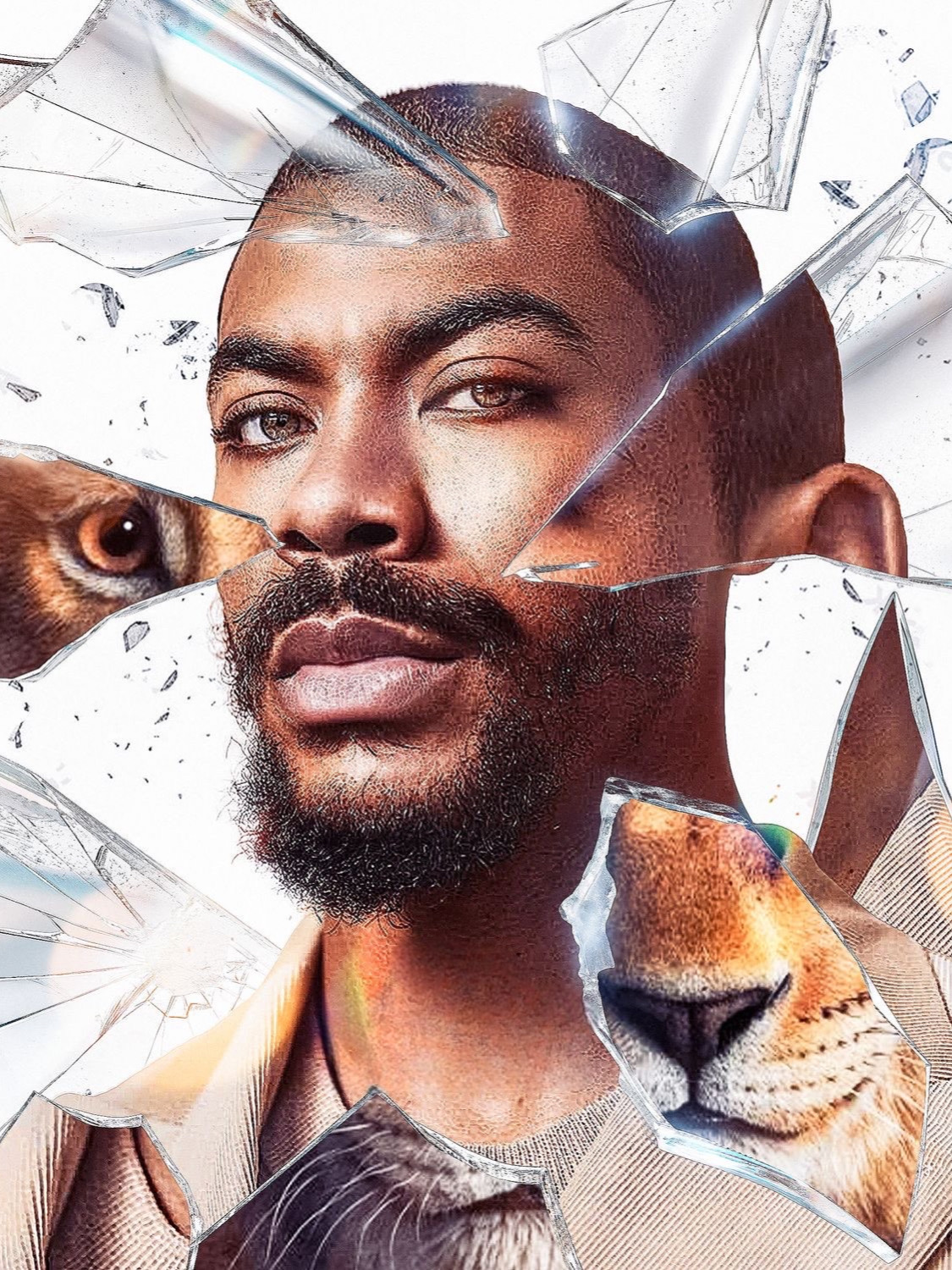 A412D96D-4491-4A53-A84B-F83C88830E66